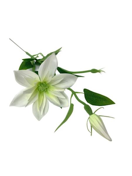 Klematis gałązka 48 cm jasny kremowy