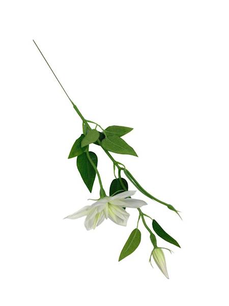 Klematis gałązka 48 cm jasny kremowy