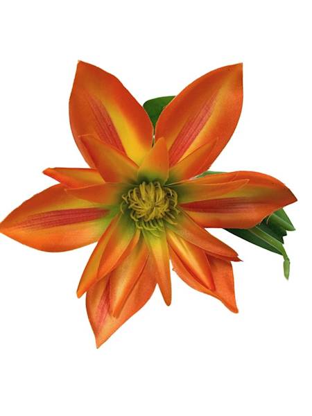 Klematis gałązka 48 cm pomarańczowy