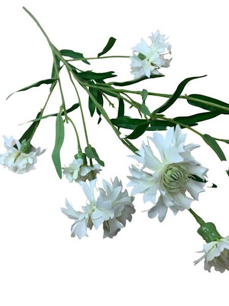 Chaber gałązka 74 cm biały