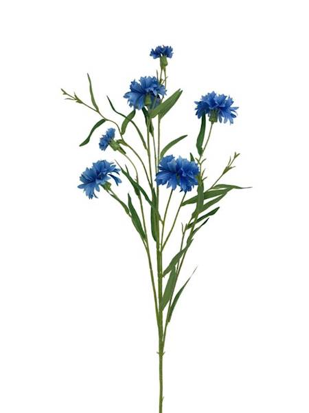 Chaber gałązka 74 cm niebieski