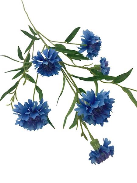 Chaber gałązka 74 cm niebieski