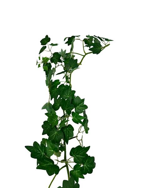 BLUSZCZ GIRLANDA 160 CM