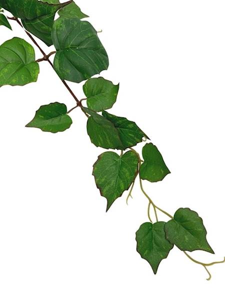 Bluszcz gałązka 89 cm zielony