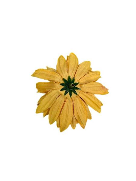 Aster główka 8 cm pomarańczowy