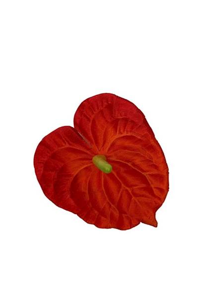 Anturium główka 14 cm pomarańcz