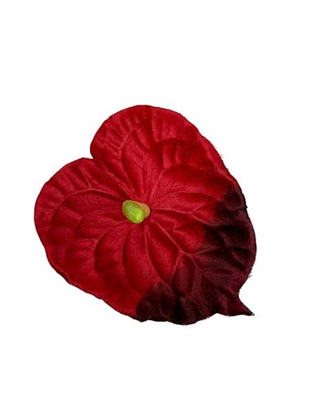 Anturium główka 14 cm czerwone