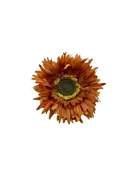 ASTER GŁÓWKA 6 CM POMARAŃCZOWY