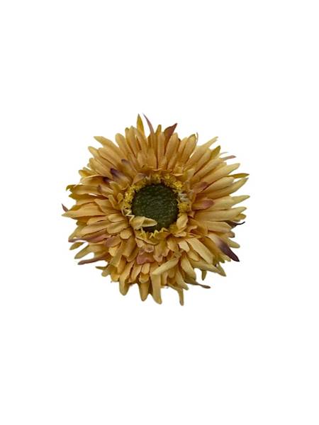 ASTER GŁÓWKA 6 CM MUSZTARDOWY