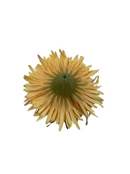 ASTER GŁÓWKA 6 CM MUSZTARDOWY