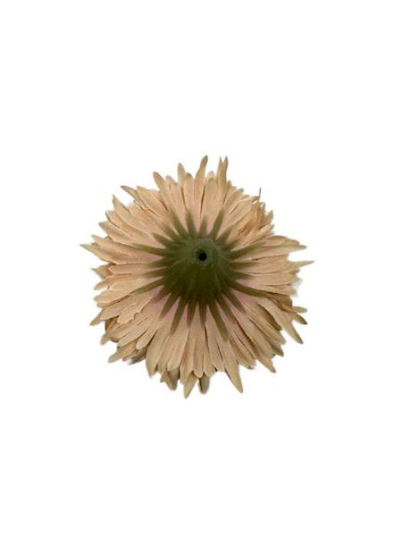 ASTER GŁÓWKA 6 CM JASNY ŁOSOSIOWY