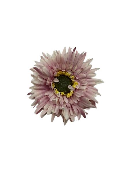 ASTER GŁÓWKA 6 CM JASNY FIOLET