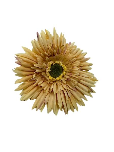 ASTER GŁÓWKA 11 CM MUSZTARDOWY