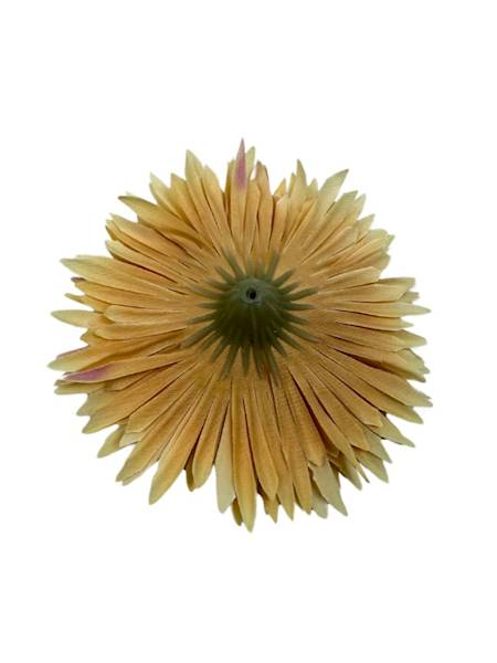 ASTER GŁÓWKA 11 CM MUSZTARDOWY