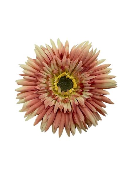 ASTER GŁÓWKA 11 CM ŁOSOSIOWY