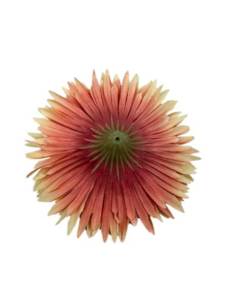 ASTER GŁÓWKA 11 CM ŁOSOSIOWY