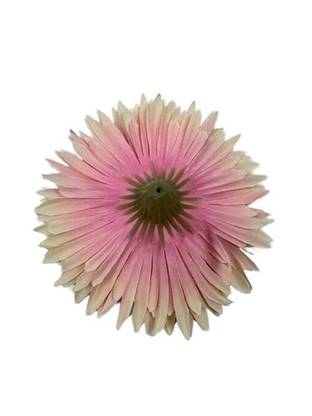 ASTER GŁÓWKA 11 CM JASNY RÓŻ