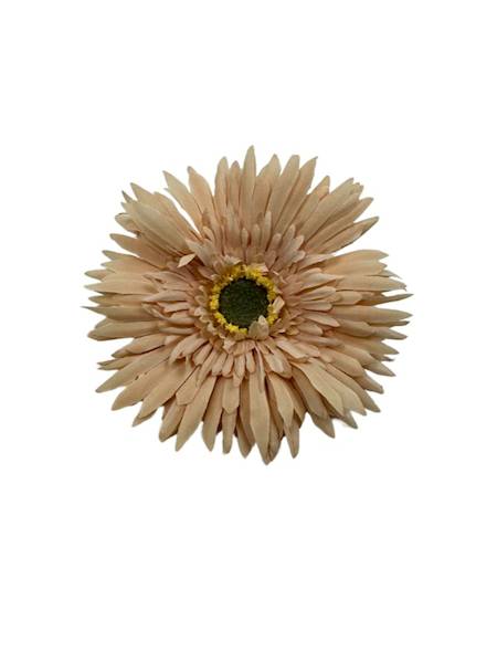 ASTER GŁÓWKA 11 CM CIEPŁY BEŻ