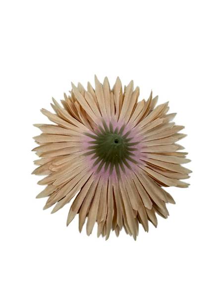 ASTER GŁÓWKA 11 CM CIEPŁY BEŻ