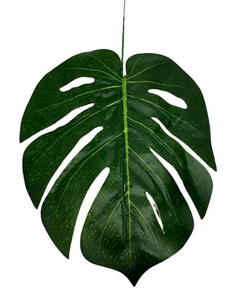 Liść monstera 41 cm ciemna zieleń