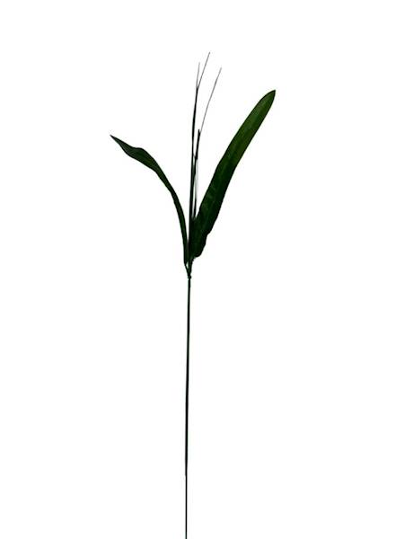 ŁODYGA DO ŻONKILA 40 CM