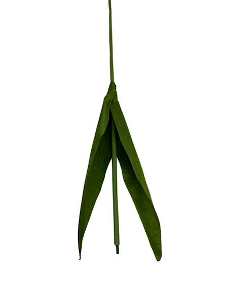 ŁODYGA DO TULIPANA 44 CM