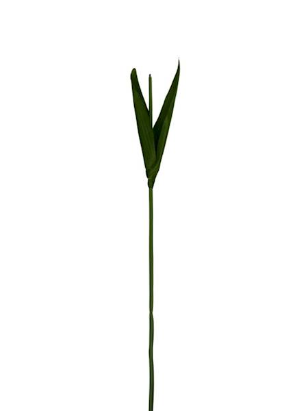 ŁODYGA DO TULIPANA 44 CM