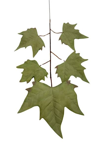 Liść klon 54 cm pudrowy zielony