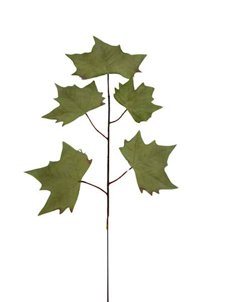 Liść klon 54 cm pudrowy zielony