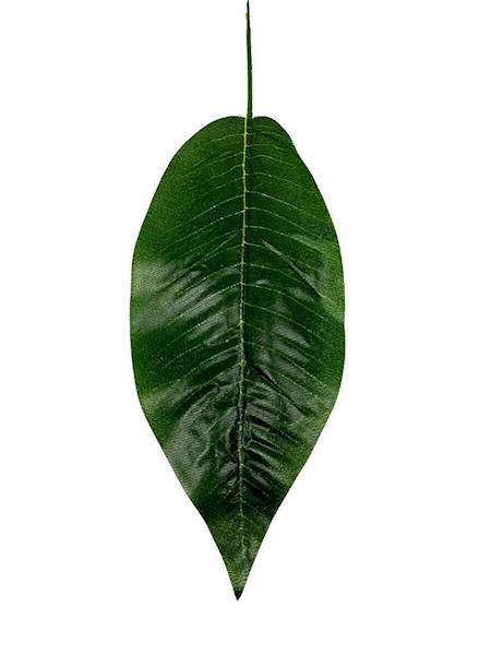 Liść 37 cm zielony