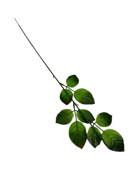 ŁODYGA DO RÓŻY 57 CM