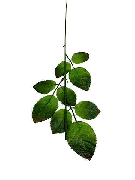 ŁODYGA DO RÓŻY 57 CM