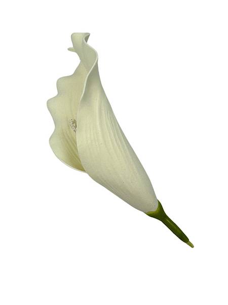 KALIA GŁÓWKA 20 CM KREMOWA