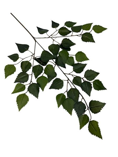 Liść brzozy 67 cm zielony