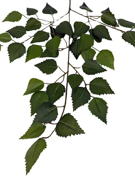 Liść brzozy 67 cm zielony