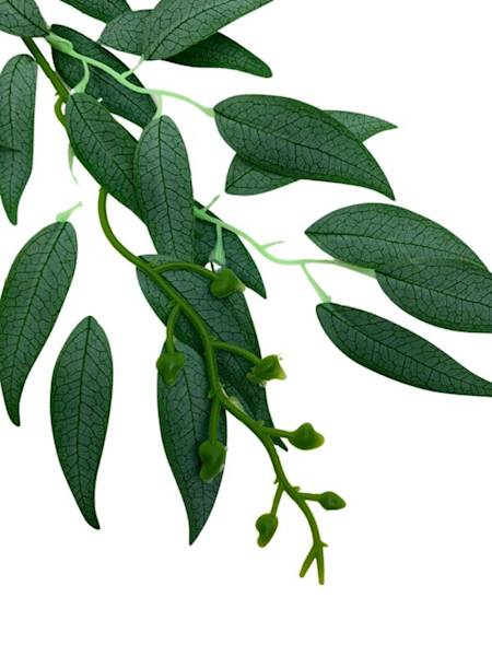 Ruskus gałązka 61 cm zielony omszony