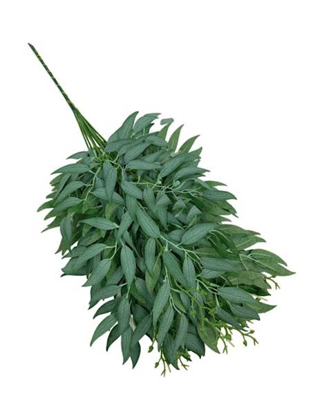 Ruskus gałązka 61 cm zielony omszony