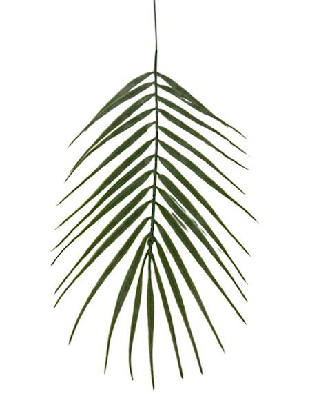 Liść palmy 45 cm 