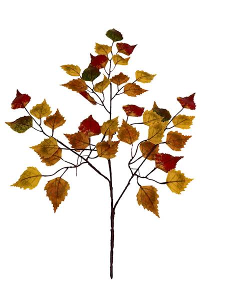 LIŚĆ BRZOZY JESIENNY 60 CM