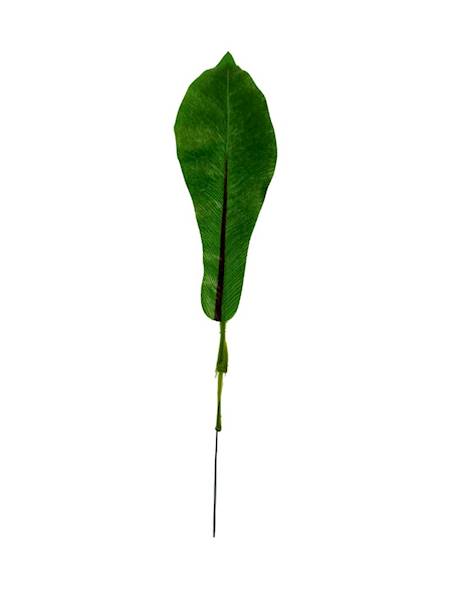 Liść asplenium 33 cm 6 SZTUK
