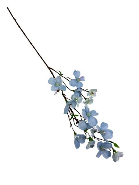 Jabłoń gałązka 60 cm niebieska