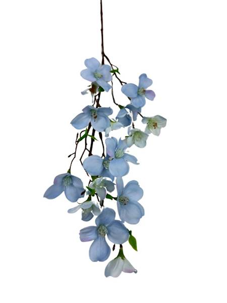 Jabłoń gałązka 60 cm niebieska