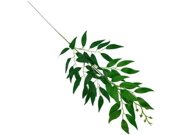 Ruskus gałązka 61 cm zielony