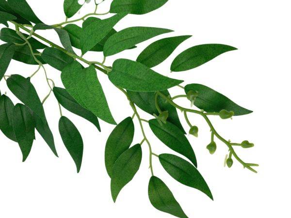 Ruskus gałązka 61 cm zielony