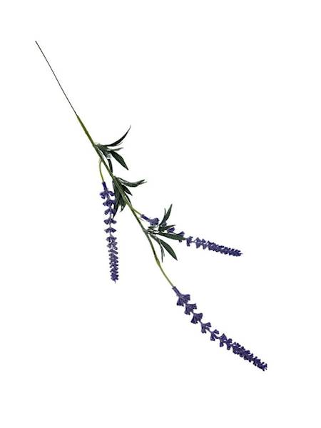 Lawenda gałązka 52 cm fioletowa
