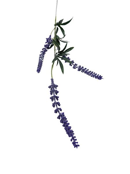 Lawenda gałązka 52 cm fioletowa