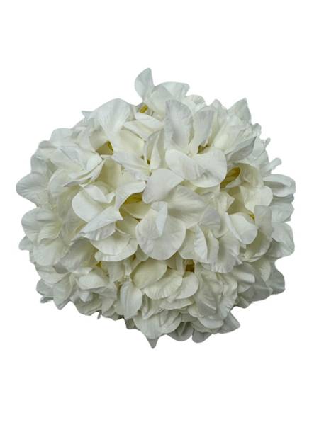 Hortensja główka 25 cm biała