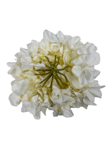 Hortensja główka 25 cm biała