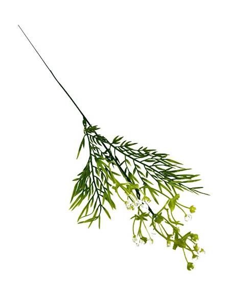 Gipsówka gałązka biało zielona