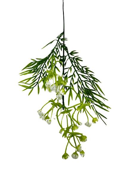 Gipsówka gałązka biało zielona